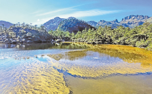 　螺髻山仙草湖。 涼山在線.jpg